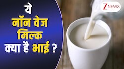 क्या है नॉन वेज मिल्क ? जिसको भारत में बेचने के लिए हाथ धोकर पीछे पड़ा है अमेरिका 