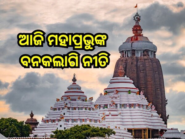 Banakalagi Ritual: ଆଜି ମହାପ୍ରଭୁଙ୍କ ବନକଲାଗି ନୀତି, ଏତିକି ଘଣ୍ଟା ବନ୍ଦ ରହିବ ସାଧାରଣ ଦର୍ଶନ