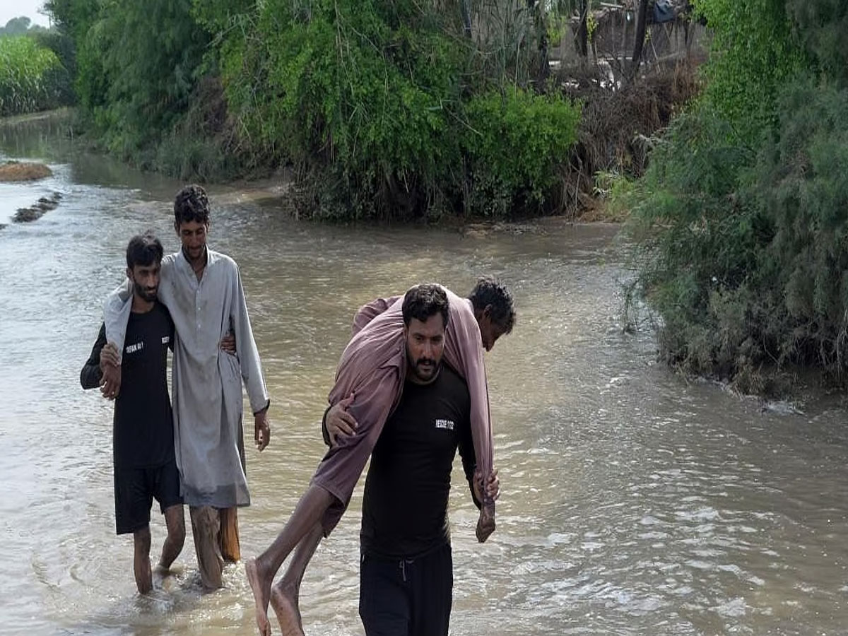 पाकिस्तान में भीषण बारिश ने मचाई भारी तबाही, इतने लोगों की मौत पाकिस्तान में भीषण बारिश ने मचाई भारी तबाही, इतने लोगों की मौत