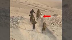 इजराइल ने किया दुनिया का सबसे अजीब हमला, गायब किए सैकड़ों गधे !