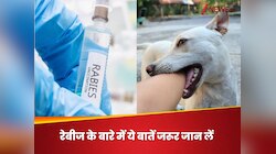 सिर्फ कुत्तों के काटने से ही नहीं होता रेबीज इंफेक्शन, कितने घंटे में लगाएं वैक्सीन?
