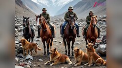 कारगिल में घोड़ों और कुत्तों का क्या रोल था, जानें कैसे बने सेना के भरोसेमंद साथी