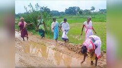सड़क नहीं तो वोट नहीं! मकुंडा गांव में सड़क पर धान रोपकर ग्रामीणों ने जताया विरोध