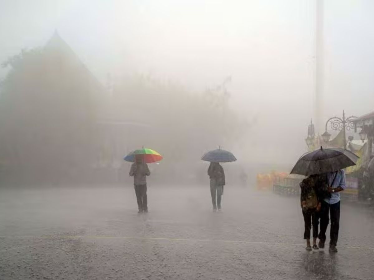 mp weather update will be no heavy rain for next 48 hours know mp ...
