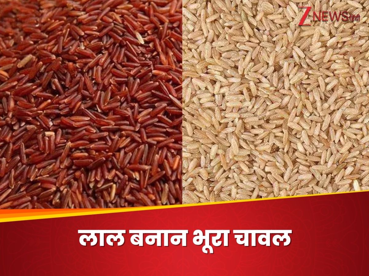 Which is better for health between red and brown rice How to Choose ...
