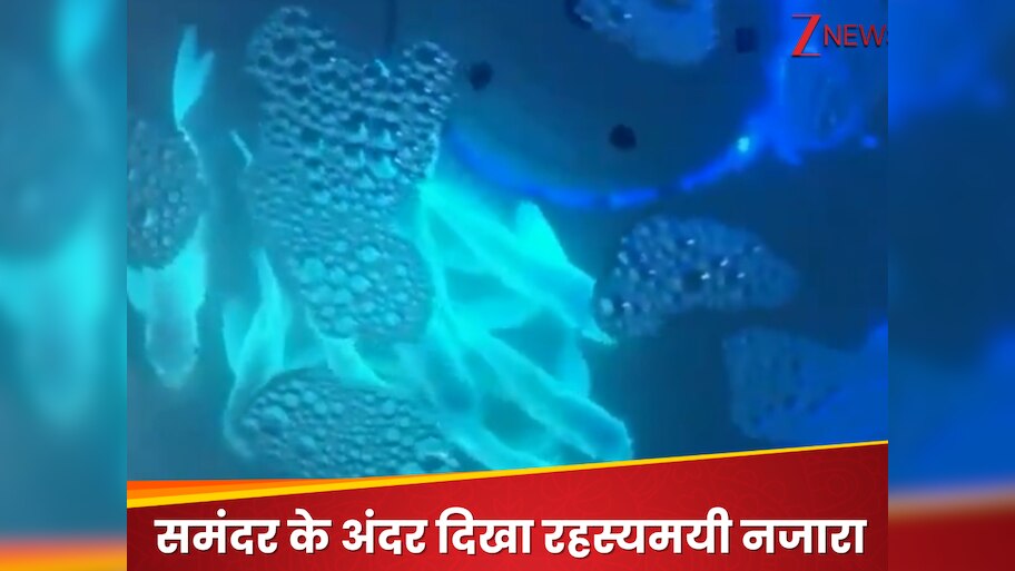 Gleaming fish seen swimming under water Blue light emanates from their ...