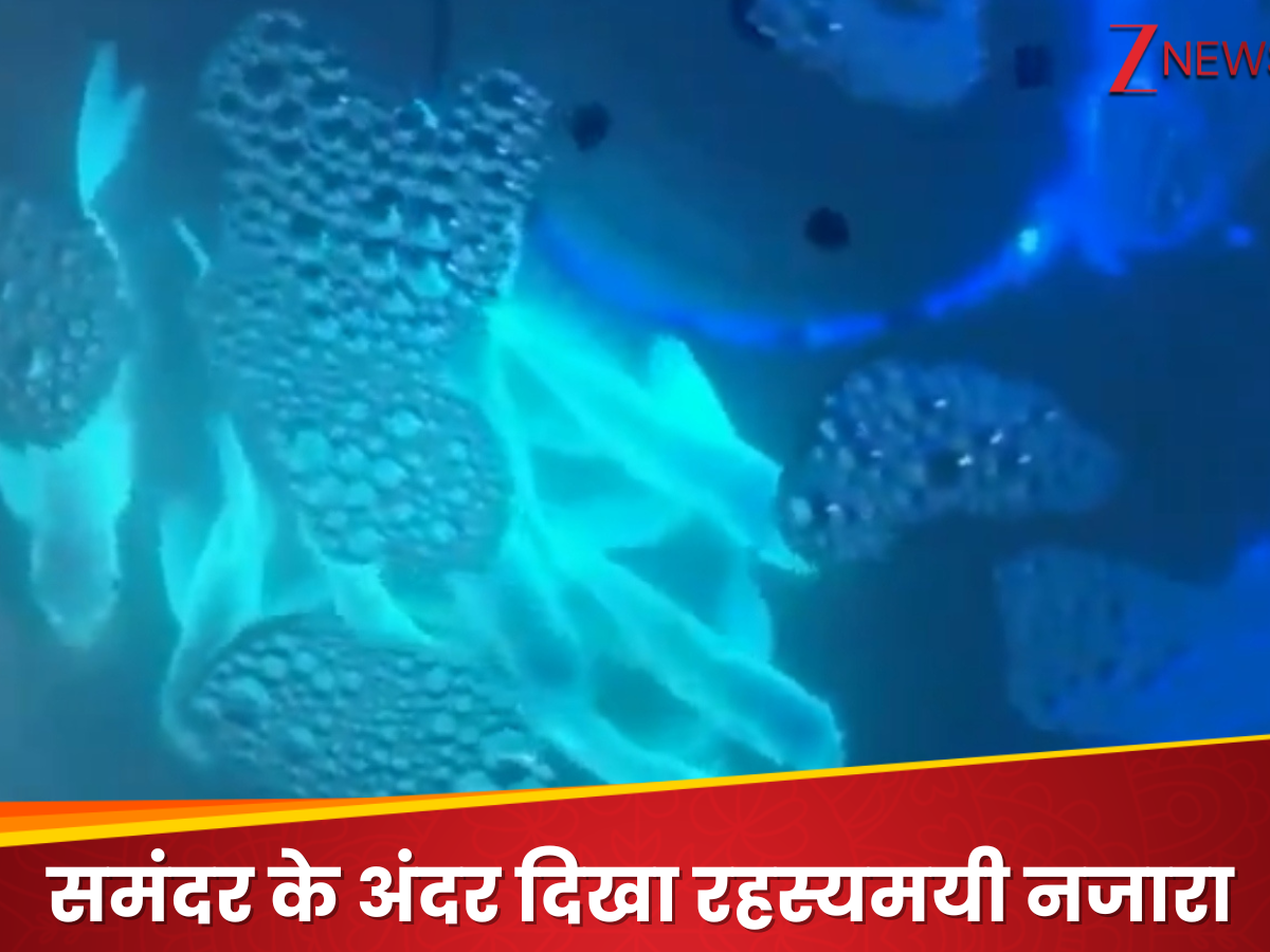Gleaming Fish Gleaming fish seen swimming under water Blue light emanates from their ...
