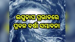 Odisha Weather Report: ଲଘୁଚାପ ପ୍ରଭାବ, ଏହିସବୁ ଜିଲ୍ଲାରେ ବିଜୁଳି ଘଡ଼ଘଡ଼ି ସହ ଛେଚିବ ବର୍ଷା 