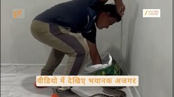 Durg: घर के कोने में बैठा मिला 4 फिट लंबा भयानक अजगर, वीडियो में देखिए कैसा दिखता है
