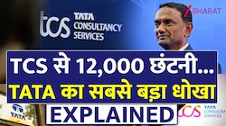 12 हजार नौकरियां गईं... AI नहीं, तो क्या है छंटनी के पीछे की असली कहानी?