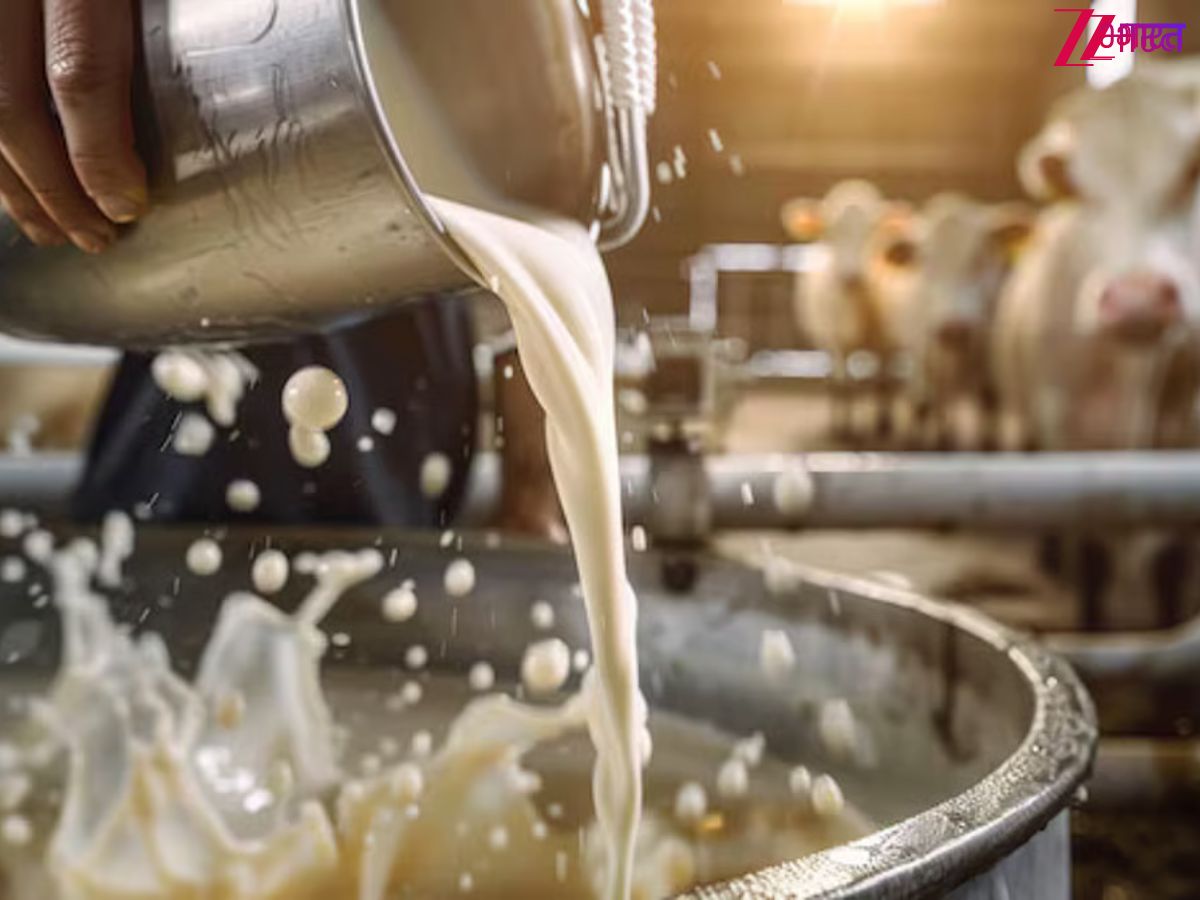 भारत में कहां है दूध का कटोरा? यहीं होता है सबसे ज्यादा दूध का उत्पादन