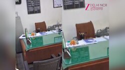 Gurugram के सरकारी दफ्तर में अधिकारिक कुर्सी पर बैठा कुत्ता बाबू, VIDEO हुआ वायरल