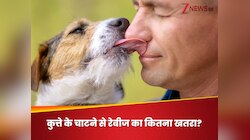 डॉग बाइट तो समझ आता है, लेकिन क्या कुत्ता स्किन चाट ले तो भी हो सकता है रेबीज?