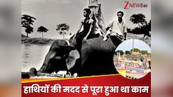 435 क‍िमी की लंबाई, घने जंगल और नद‍ियां..हाथियों ने डाली थी सरकारी कंपनी की पाइपलाइन