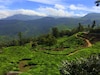 कुन्नूर (Coonoor)-