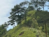  जावडी हिल्स (Javadi Hills)-