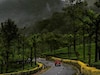 वालपराई (Valparai)-