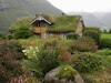 क्यों खास हैं Turf Roof?