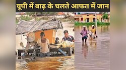 यूपी में बारिश से तैरने लगे शहर के शहर! सीतापुर में स्‍कूल बंद, प्रयागराज में बाढ़ 