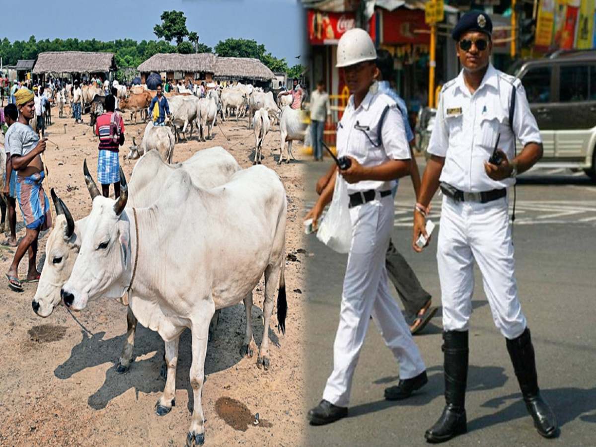 West Bengal: मुस्लिम व्यपारियों की बेरहमी से पिटाई, खेती के लिए ले जा रहे थे गाय West Bengal: मुस्लिम व्यपारियों की बेरहमी से पिटाई, खेती के लिए ले जा रहे थे गाय