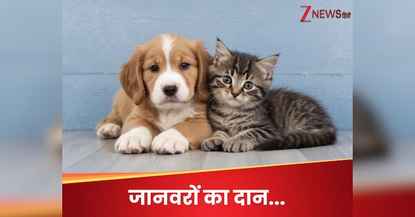 अपने पालतू जानवर हमें दे दीजिए, हम उन्हें प्यार से मारेंगे और... Zoo ने लोगों से दान में मांगे जानवर