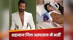 हाथ लगी ड्रिप और बेड पर लेटी...; शहनाज गिल अस्‍पताल में भर्ती; मिलने पहुंचा ये दोस्त