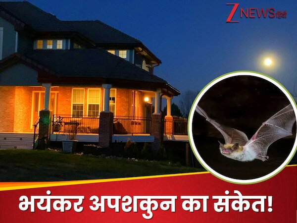 bat in home meaning in islam hindu and ghar me chamgadar ka aana kaisa ...