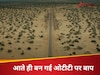 वो धांसू फिल्म