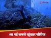 7 एपिसोड की सबसे खूंखार सीरीज