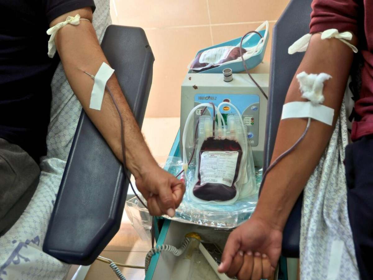 Gaza: खाना और खून के मोहताज हुए फिलिस्तीनी, ब्लड बैंक ने बताई हैरानी भरी बात Gaza: खाना और खून के मोहताज हुए फिलिस्तीनी, ब्लड बैंक ने बताई हैरानी भरी बात