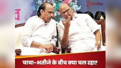 शरद पवार मिलाएंगे अजित पवार से हाथ? खुद बता दिया अपना फ्यूचर प्लान
