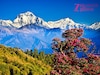 Nepal Tour Package