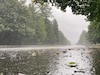 IMD ने कहां जारी किया बारिश का अलर्ट ( Chhattisagrh rain alert)