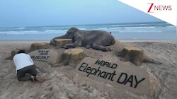 World Elephant Day 2025: पुरी के बीच पर सुदर्शन पटनायक ने रेत से बनाई हाथी की 12 फीट लंबी कलाकृति, दिया खास मैसेज