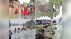 Bihar Flood: बिहार में बाढ़ से चारों तरफ तबाही ही तबाही, खतरनाक मंजर की देखें Photos