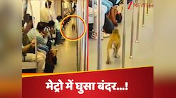 दौड़ते-दौड़ते अचानक मेट्रो में घुस गया बंदर, मंकी को पास आता देख लोगों में हड़कंप
