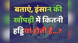 Trending Quiz : इंसान की खोपड़ी में कुल कितनी हड्डियां होती हैं?