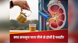 क्या किडनी के लिए भी जहर है चाय? लोग क्यों और कैसे जोड़ रहे हैं पथरी से इसका कनेक्शन