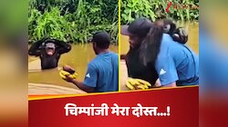 चिम्पांजी ने शख्स को लगाया गले, केले लेकर हाथ मिलाया और चला गया; देखें वीडियो!