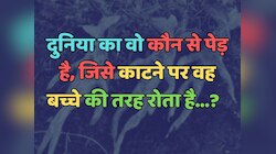 Trending Quiz : दुनिया का वो कौन से पेड़ है, जिसे काटने पर वह बच्चे की तरह रोता है?