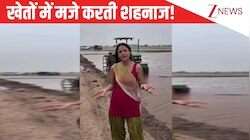 शूट के बीच में खेतों में मस्ती करते दिखीं Shehnaaz Gill, गांववाली बन फैंस को दिखाया ट्रैक्टर; दिल जीत लेगा अंदाज