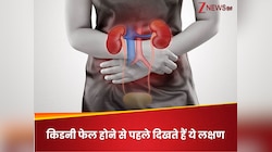 किडनी फेल होने के 7 साइलेंट संकेत! अगर दिखें ये लक्षण तो तुरंत कराएं चेकअप