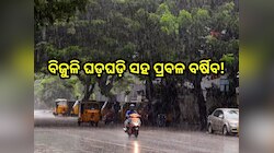 Heavy Rain Alert: ଟ୍ରିପଲ୍ ଲଘୁଚାପ ପ୍ରଭାବରେ ଏହିସବୁ ଜିଲ୍ଲାରେ ହେବ ଭୀଷଣ ବର୍ଷା! ରେଡ୍ ଆଲର୍ଟ