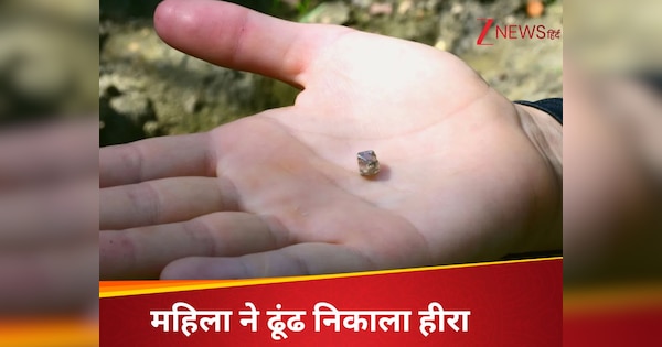 अमेरिका का वो पार्क जहां मिलते हैं हीरे-जवाहरात, महिला को मिला 2.3 कैरेट का हीरा; अब करेंगी ये काम