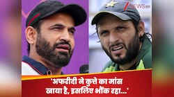 'अफरीदी ने कुत्ते का मांस खाया है..', इरफान और PAK क्रिकेटर की लड़ाई पर बड़ा खुलासा
