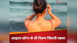 3 मिनट 49 सेकंड के आइटम सॉन्ग के लिए एक्ट्रेस ने वसूले थे 5 करोड़ रुपए!