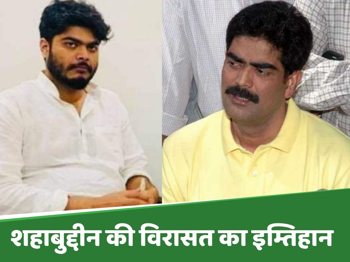 Bihar: ओसामा की एंट्री से रघुनाथपुर में चुनावी मुकाबला दिलचस्प, MY समीकरण पर सबकी निगाहें Bihar: ओसामा की एंट्री से रघुनाथपुर में चुनावी मुकाबला दिलचस्प, MY समीकरण पर सबकी निगाहें