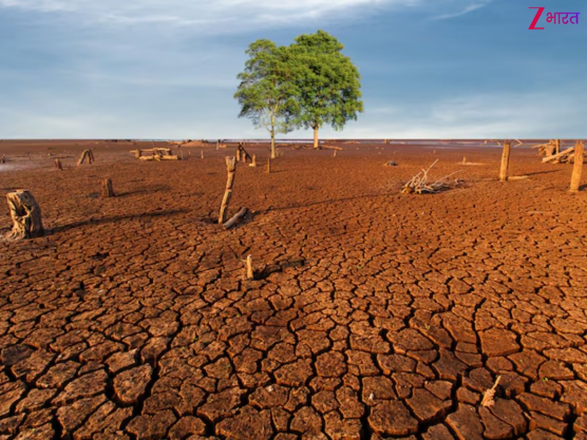 वो देश जहां नहीं है एक भी नदी, आखिर कैसे चलता है काम? जानें