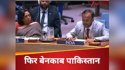 भारत ने खोला PAK का काला-चिट्ठा, 1971 में महिलाओं के साथ दुष्कर्म का बताया इतिहास