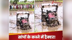ये खतरनाक Video देखकर उड़ जाएगी आपकी नींद